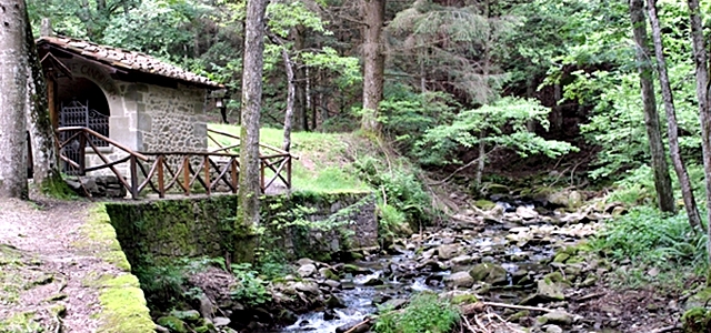 Foreste Casentinesi - Casentino