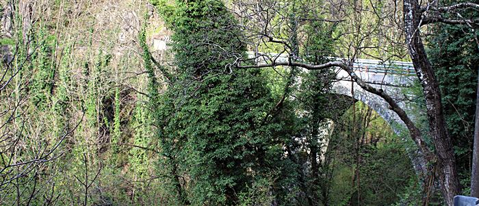 San Marcello Pistoiese - Foresta del Teso