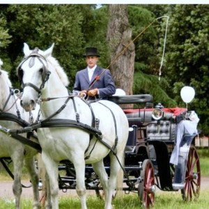 tour carrozza