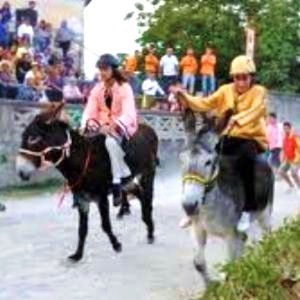 palio dei ciuchi