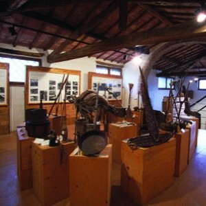 museo mezzadria