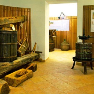 museo vite vino