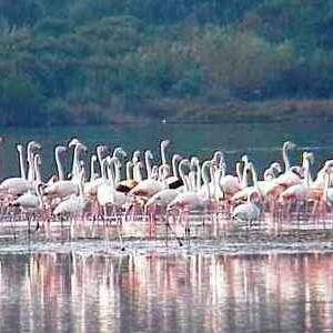 oasi laguna orbetello