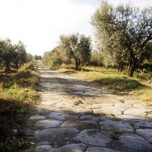 via francigena (4)