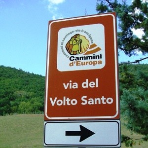 via volto santo1