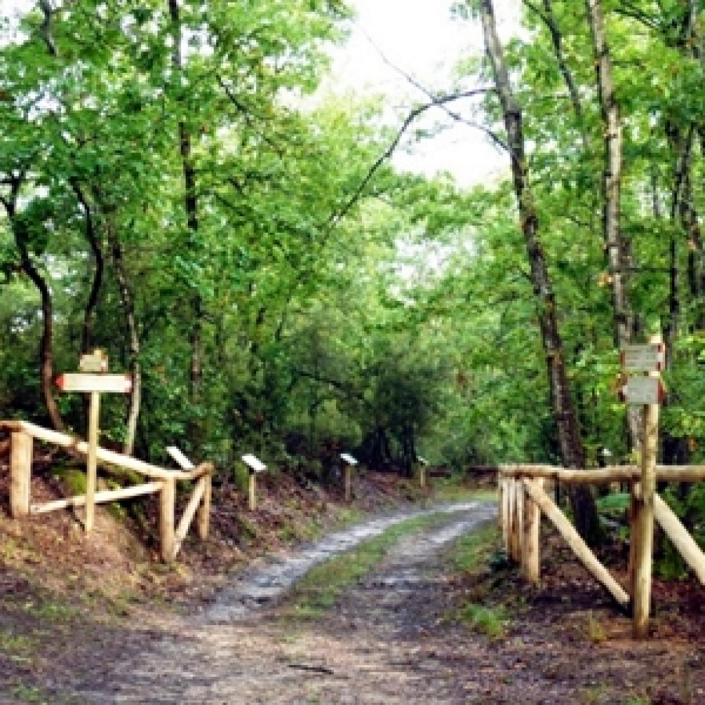 Le Cerbaie - riserva naturale