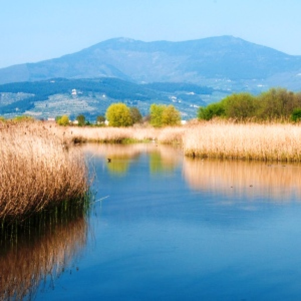 Oasi Stagni di Focognano