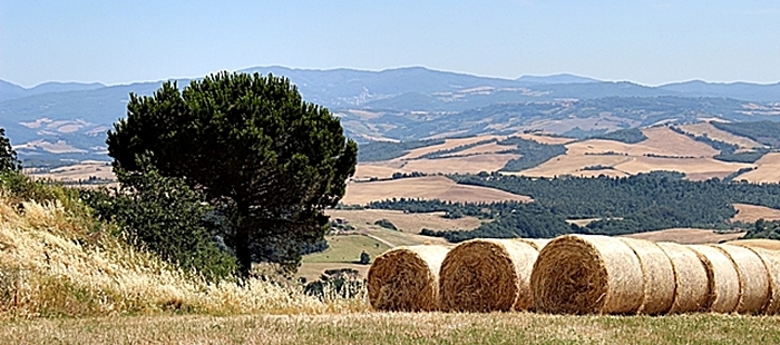 Agriturismi in toscana