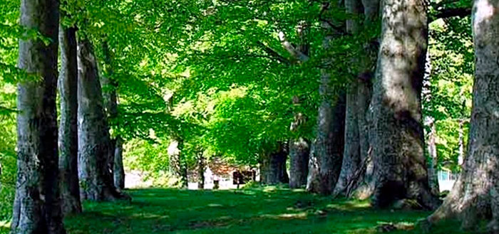 Riserva Naturale Cantagallo