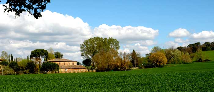 Agriturismo San Fabiano - Monteroni d'Arbia