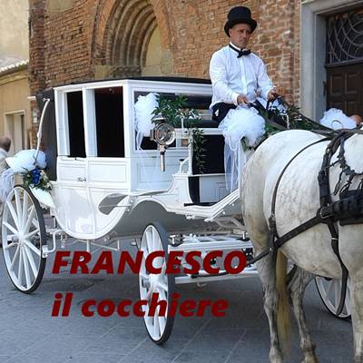 Francesco il cocchiere