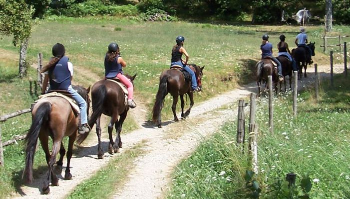 Cortona equitazione