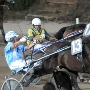 Ippodromo dei Pini Follonica