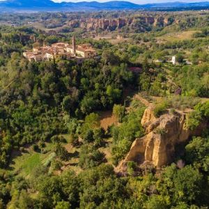 veduta aerea Castelfranco Piandiscò e Balze