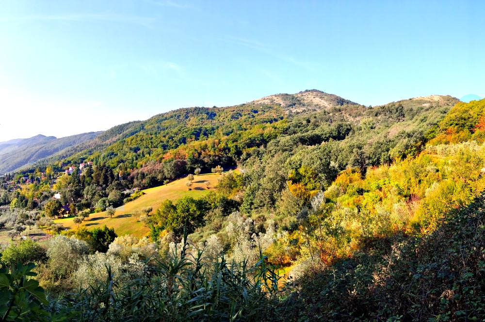 Riserva Naturale Calvana