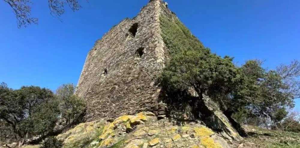 Riserva naturale di Montauto - Manciano