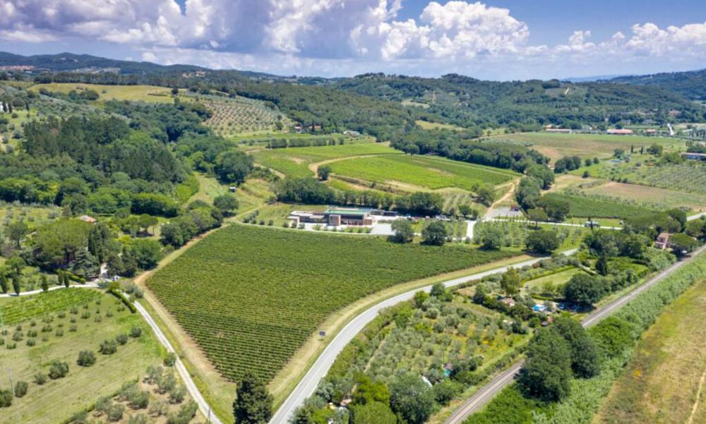 La Regola cantina artistica - Riparbella