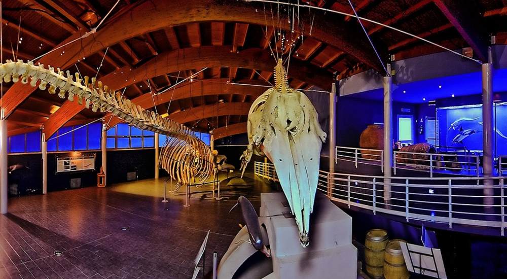 Museo di Storia Naturale del Mediterraneo - Livorno