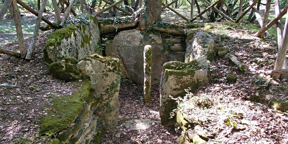 Necropole di Puntone - Pian di Palma