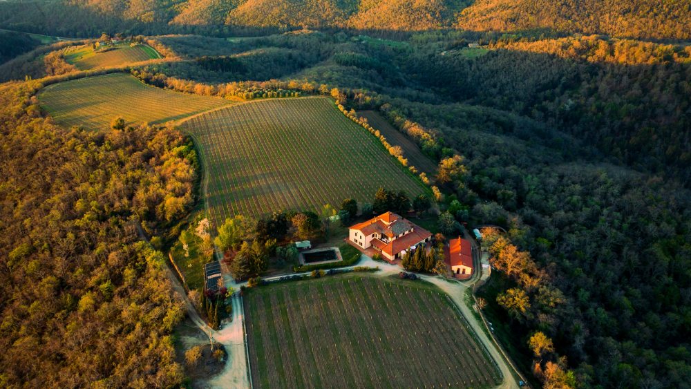 Tenuta San Vincenti