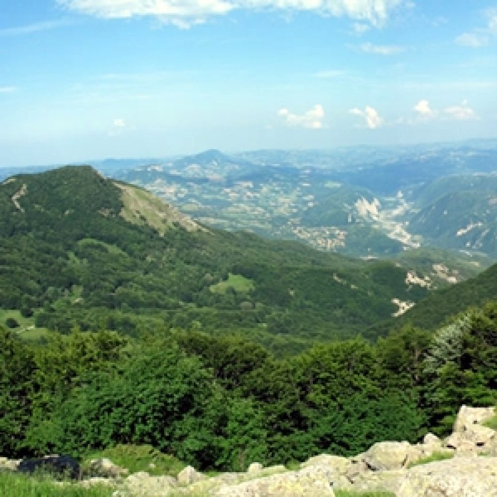 Reptiles  Parco Nazionale dell'Appennino Tosco-Emiliano