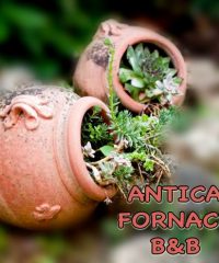 Antica Fornace B&B