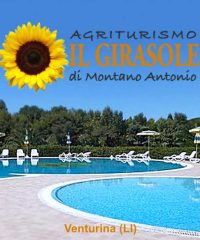 Il Girasole