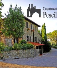 Casanova di Pescille