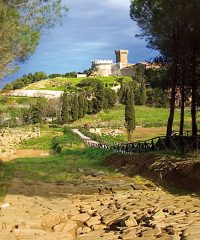 Populonia Alta