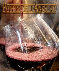 Podere dell’Anselmo