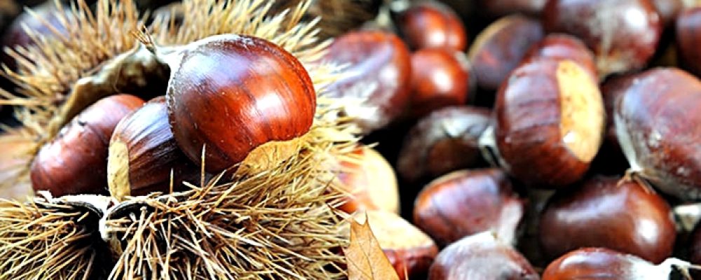 Tempo di castagne e di marroni