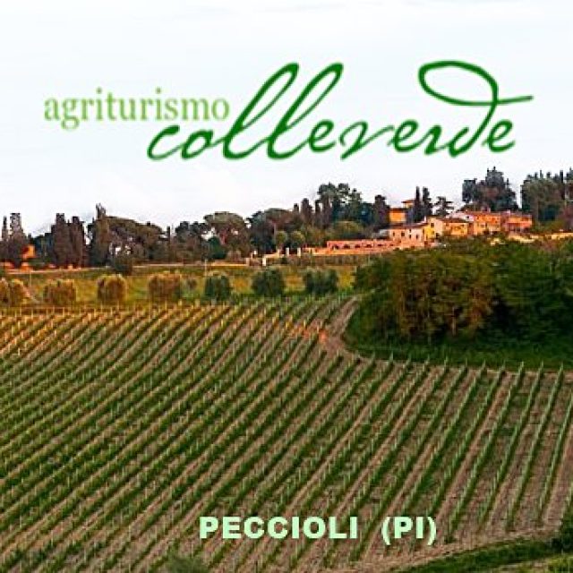 Agriturismo Colleverde