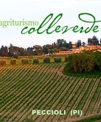 Agriturismo Colleverde