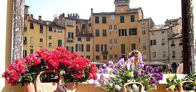 Tour  nel centro storico di Lucca