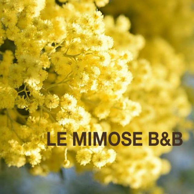 Le Minose B&B