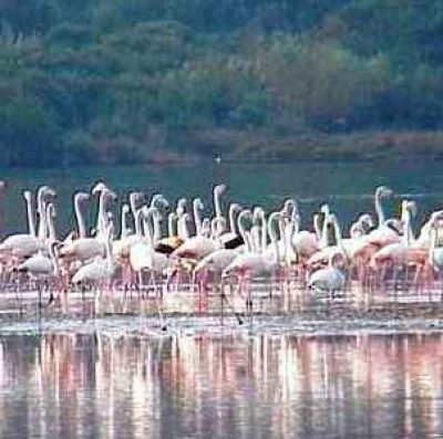 Riserva Naturale della Laguna di Orbetello