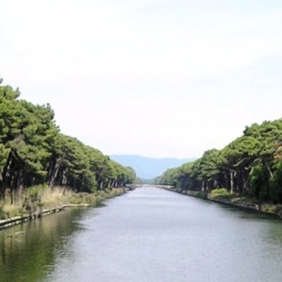 Parco Regionale Migliarino San Rossore Massaciuccoli