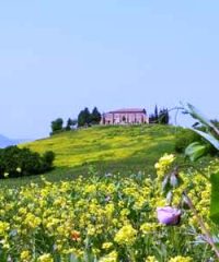 Parco Artistico e Culturale della Val d’Orcia