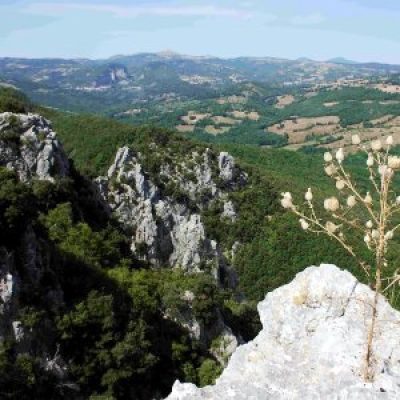 Riserva naturale Rocconi