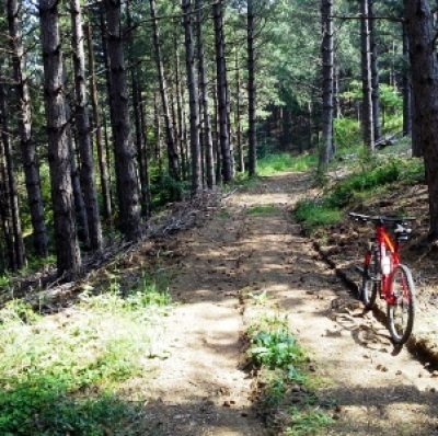 riserva naturale di Poggio all&#8217;Olmo