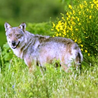 Riserva Naturale Poggio all&#8217;Olmo