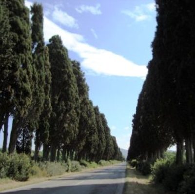 Via dei Cipressi