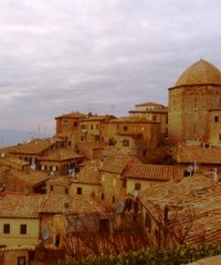 Volterra