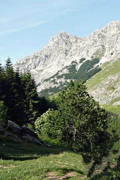 ALPI APUANE