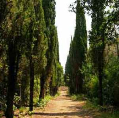 Parco della Magona