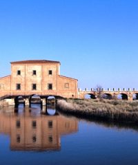 Riserva Naturale Regionale Diaccia Botrona