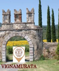 Vignamurata Resort