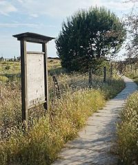 Ciclotour al Lago  di Porta