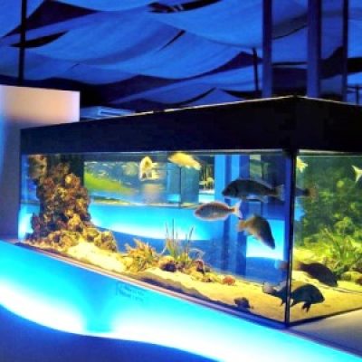 Acquario della Laguna
