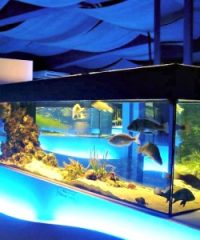 Acquario della Laguna